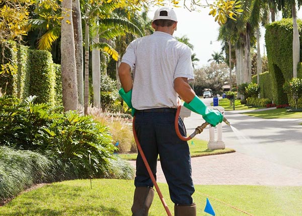 About Camden Point MO Pest Control